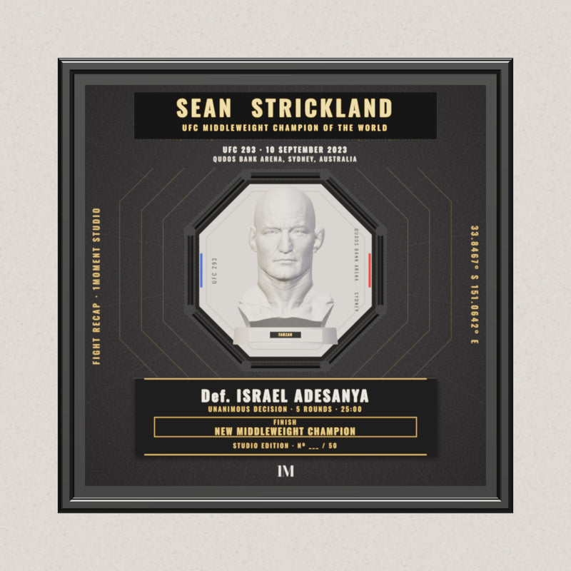 3D render of the 1Moment Studio Championship shadow box: Sean Strickland vs Israel Adesanya, UFC 293