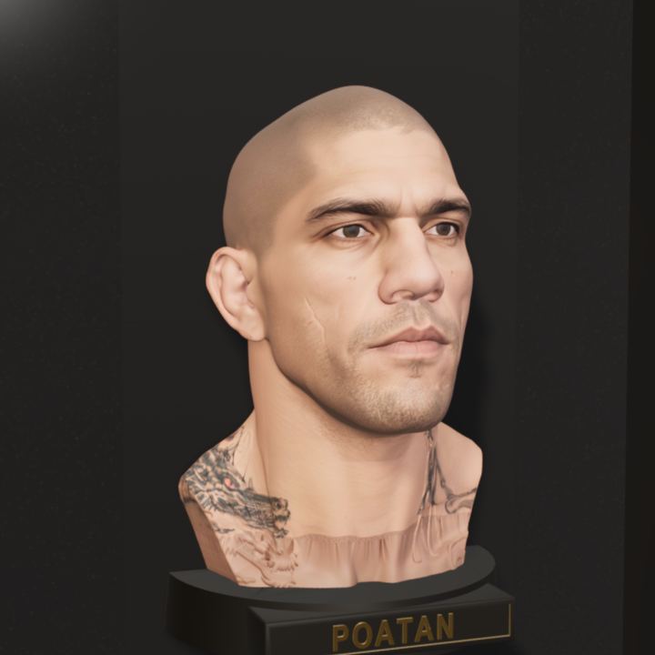 Alex "Poatan" Pereira, hand-painted bust